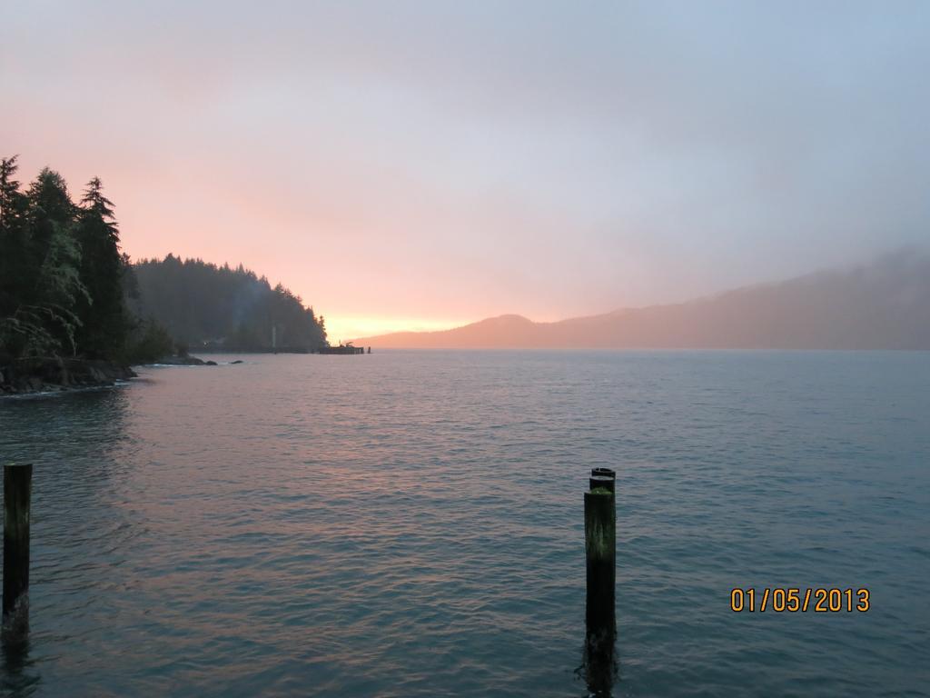 A Shack In The Woods Villa Port Renfrew Rum bild