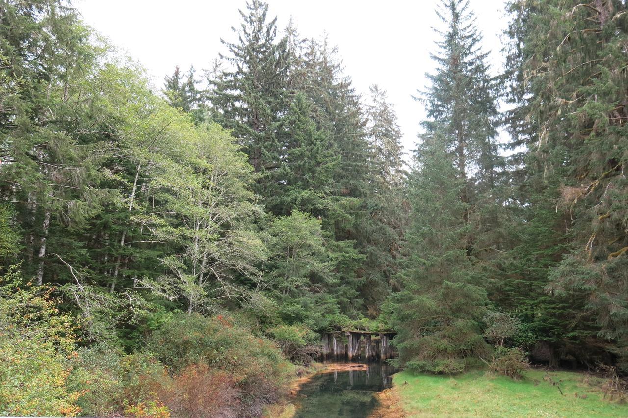 A Shack In The Woods Villa Port Renfrew Exteriör bild